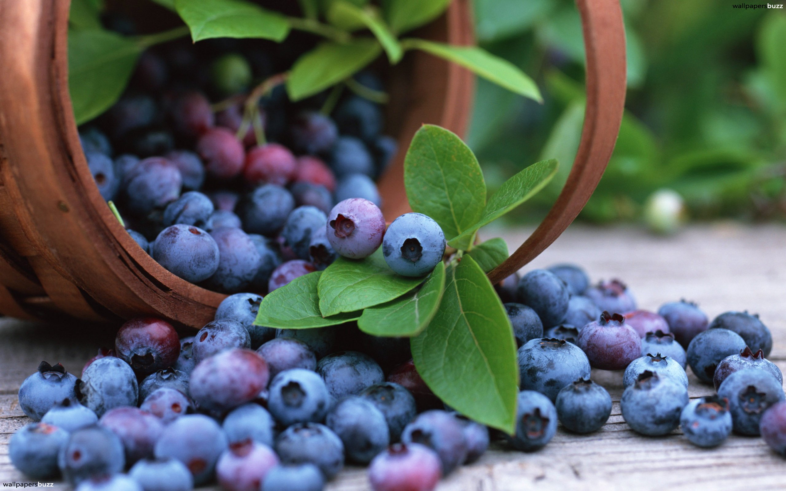 benefits blueberries