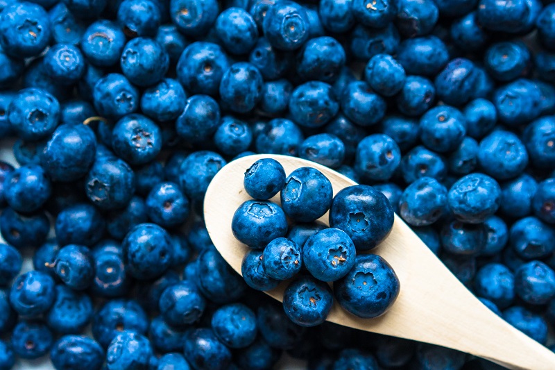 benefits blueberries