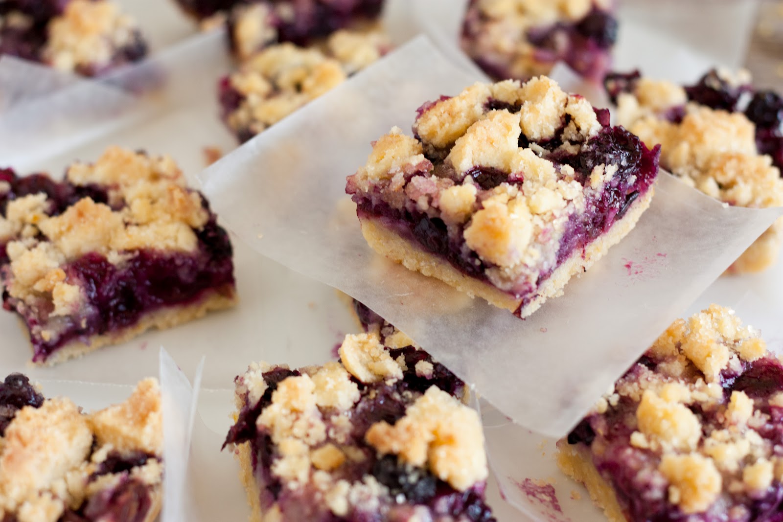 Blueberry Crumb Bars