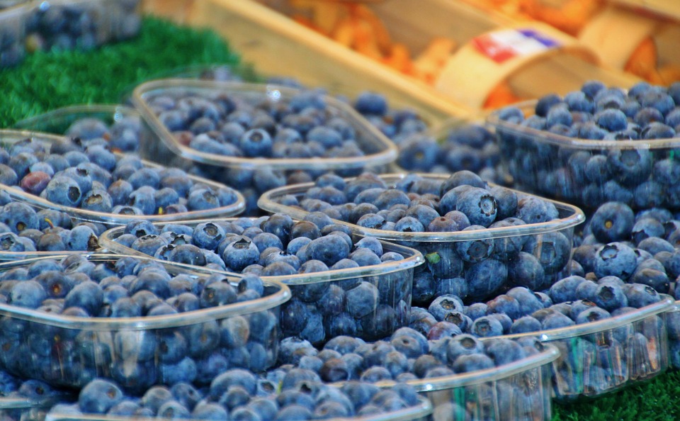 Blueberry Demand Continues to Rise