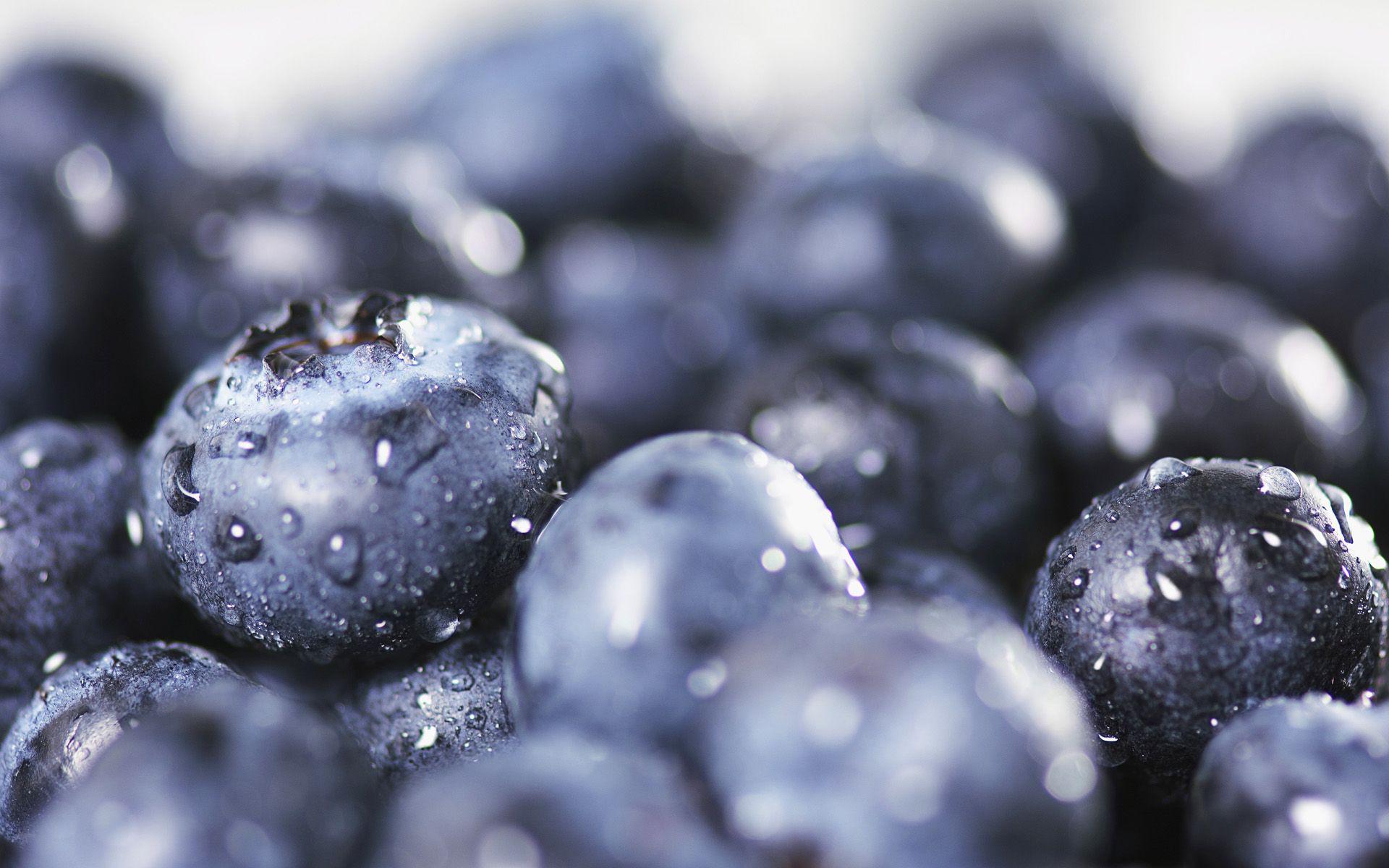 Blueberries Fresh