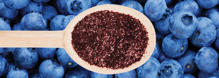 Blueberry Powder