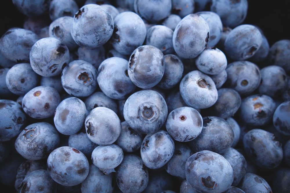 Storing Fresh Blueberries