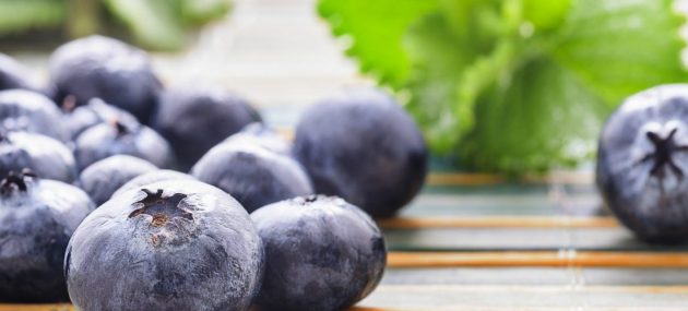 The Multi-fold Benefits of Blueberries