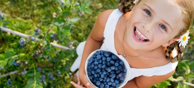 Wild Blueberry: A Memory Booster In Primary School-Age Children.