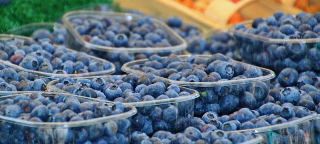 U.S. Fresh Blueberry Demand Continues to Rise