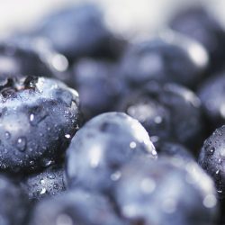 How to Keep Blueberries Fresh?