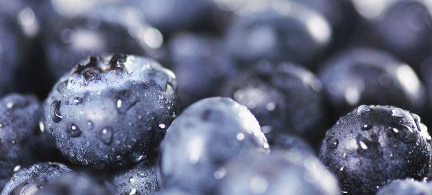 How to Keep Blueberries Fresh?