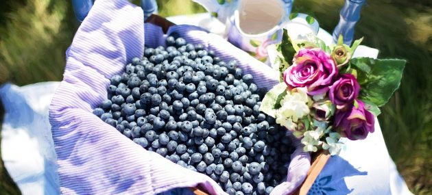 Nutritive Facts About Blueberries