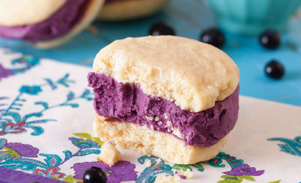 Blueberry Ice Cream Sandwich