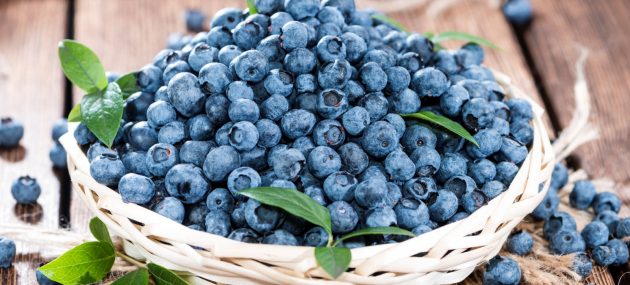 Blueberries: A Good Source Of Manganese
