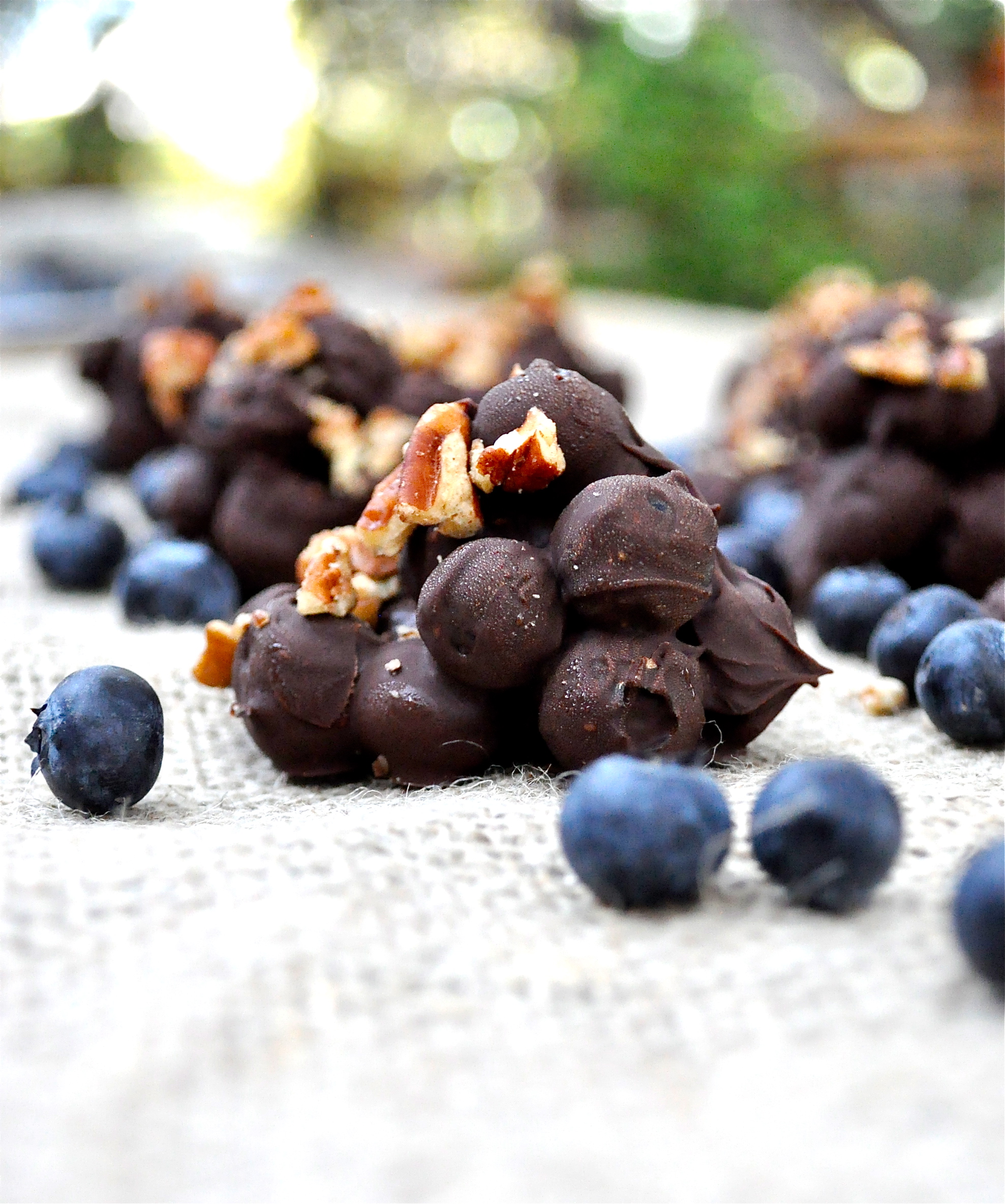 Blueberries and Dark Chocolate