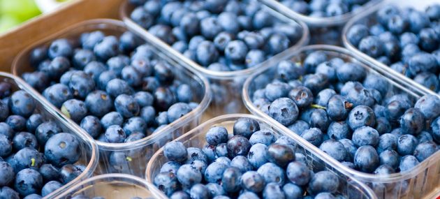 Blueberry exports to grow over 12% per year through 2021