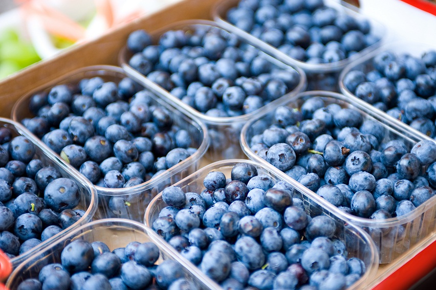 Blueberry exports