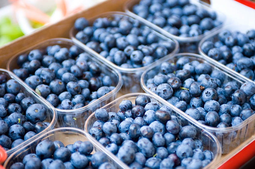 Blueberry exports