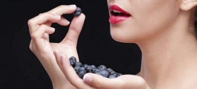 Blueberries show promise as treatment for post-traumatic stress disorder