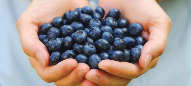 Blueberries can help reduce blood pressure and arterial stiffness