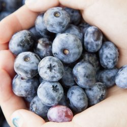 5 Blueberry Hand Care Products