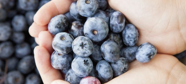 5 Blueberry Hand Care Products