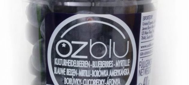 OZblu launches blueberry academy