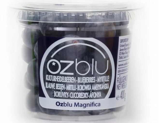 OZblu launches blueberry academy