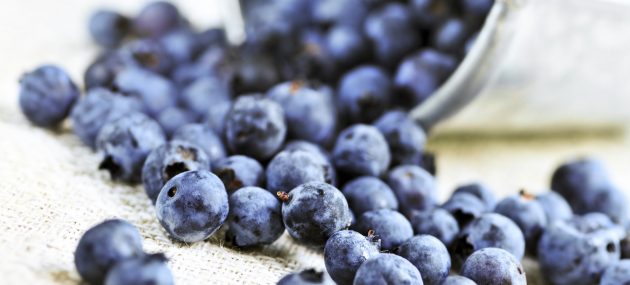 Why Blueberries are Coated in a White Powder
