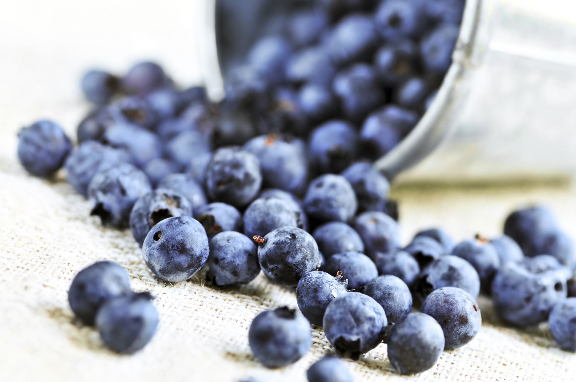Blueberries are Coated in a White Powder