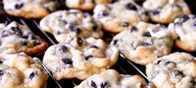 Blueberry Cream Cheese Cookies