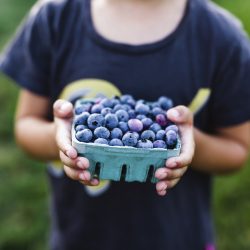 Is Blueberry The Way To Strong Memory?