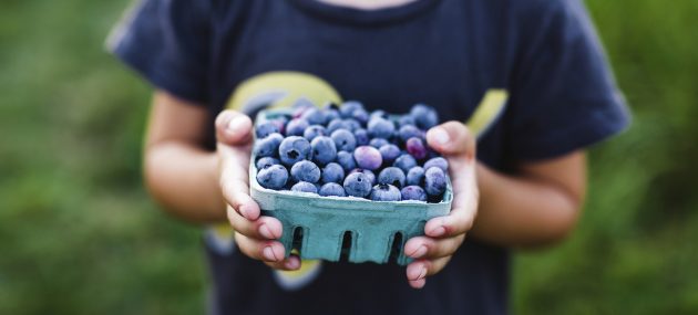 Is Blueberry The Way To Strong Memory?