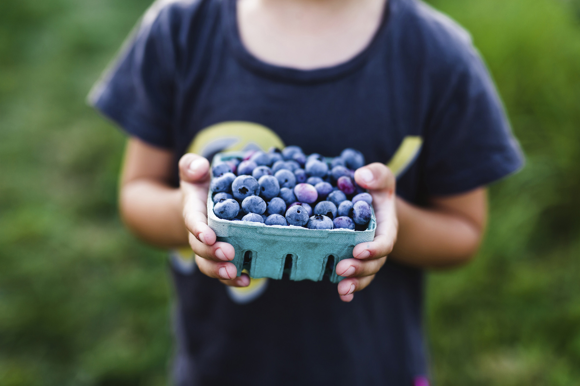 blueberries