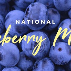 Blueberry Month: 5 FAQ’s Answered by Experts