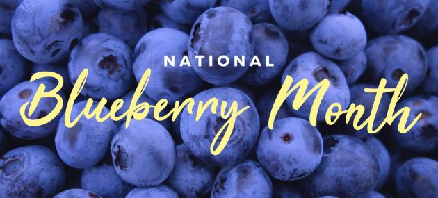 Blueberry Month: 5 FAQ’s Answered by Experts